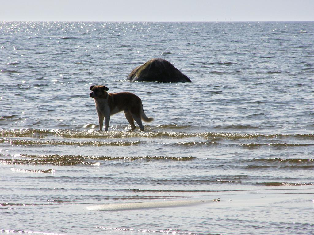 Treimani Puhkemaja Villa Ruang foto